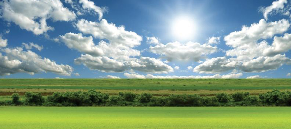 View of a sunny field with light clouds in the distance