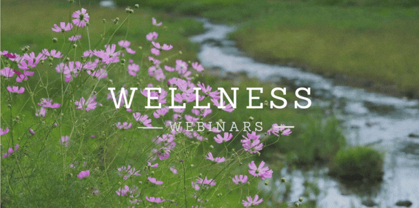 Febuary Wellness Webinar